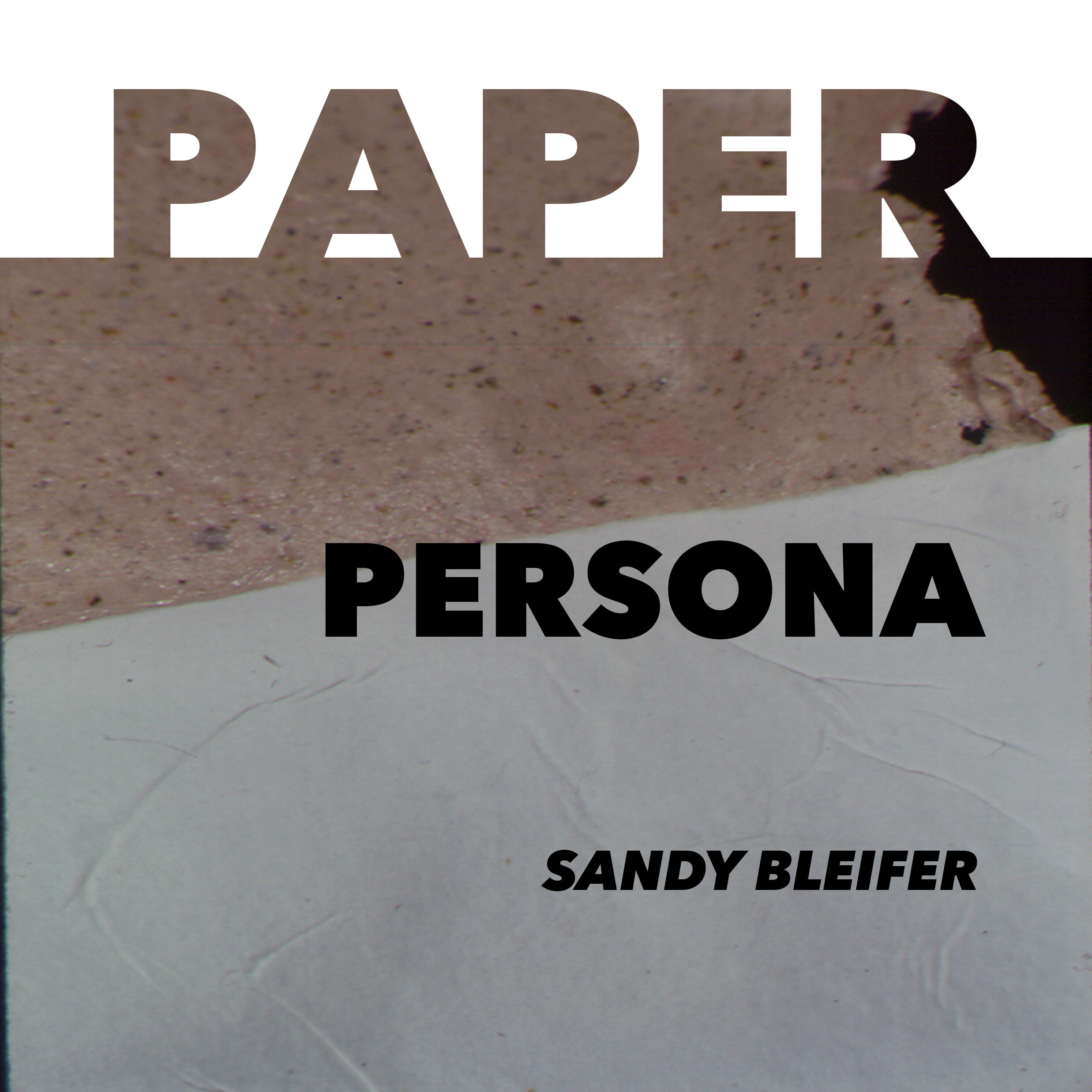 Paper: Persona